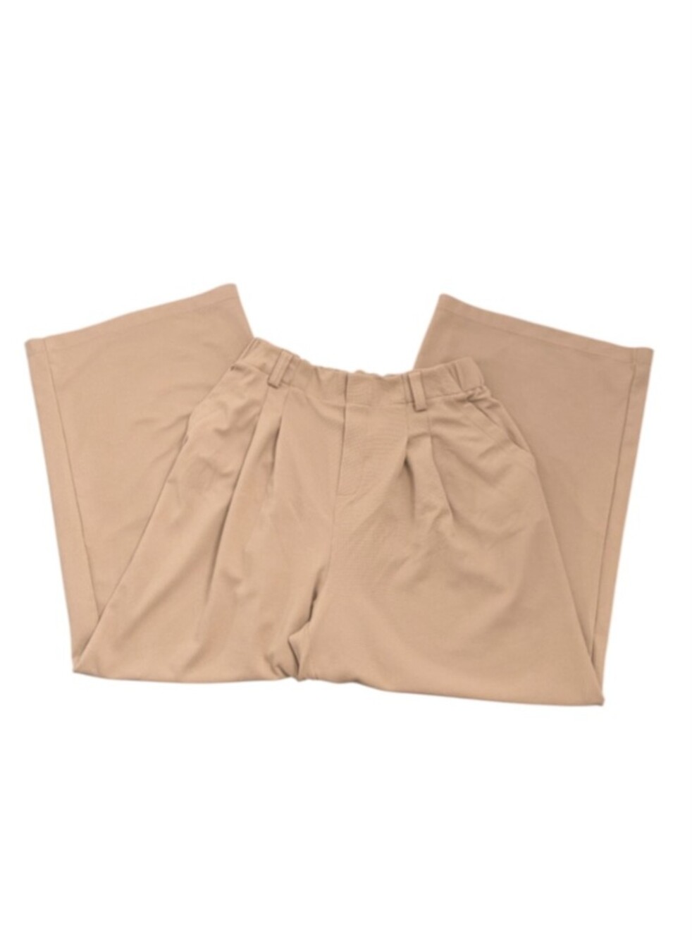 HALARA Pleated Wide-Leg Brown Slacks